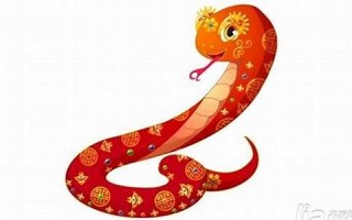 属蛇今年的运程(属蛇今年是本命年吗)