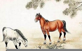 属马的和什么属相最配(属马男和属鸡女合配吗) 属马的和什么属相最配(属马男和属鸡女合配吗)