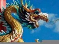 属龙的命运(2000年属龙的命运)