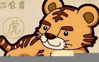 属虎男最佳婚配(属虎男最佳婚配女)