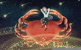 巨蟹座男生的性格(巨蟹座男生配对星座女)