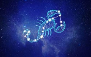天蝎女性格(天蝎座女生性格脾气特点和缺点)