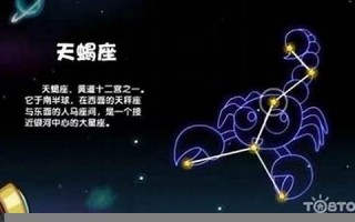 射手座男人的性格(射手座男人的性格特点)