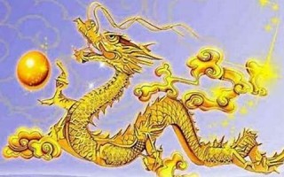 属龙人2022年全年运势详解(属龙人2022年的全年运势)