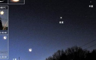 1月31日(2019年1月31日) 1月31日(2019年1月31日)