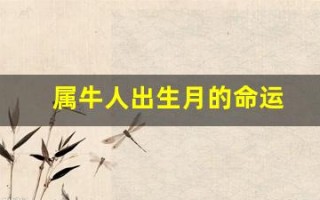 属牛人出生月的命运(属羊5月份出生的命运怎么样)