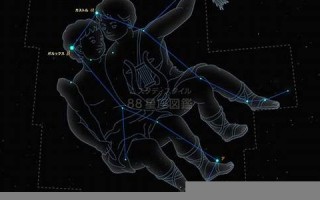 双子星座(双子星座女生性格)
