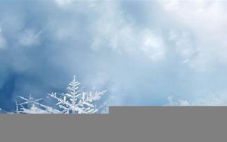 梦见下雪是什么征兆(早晨梦见下雪是什么征兆) 梦见下雪是什么征兆(早晨梦见下雪是什么征兆)