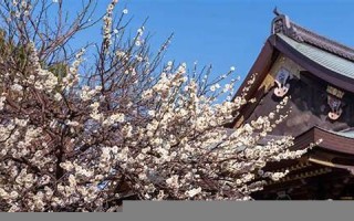 2月8日(2月8日是什么星座的人)