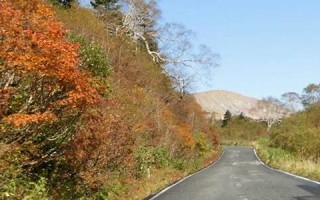 2017年1月10日(2017年1月10日属什么生肖)