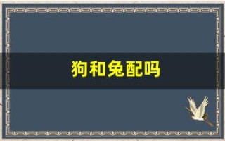 狗和兔配吗(狗和兔配么)