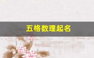 五格数理起名(五格数理起名1至28画)