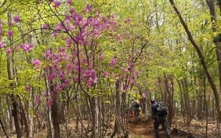 2011年5月8日(2011年5月8日是什么星座)