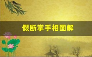 假断掌手相图解(假断掌手图片)