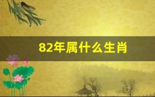 82年属什么生肖(81年属什么生肖)