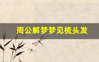 周公解梦梦见梳头发(女人梦见梳头发并扎起来)