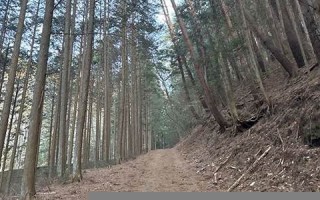 7月01日(7月01日至7月31日的时政新闻报道)